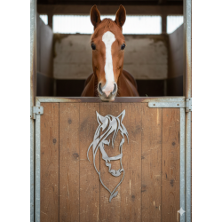 Tête cheval allongée