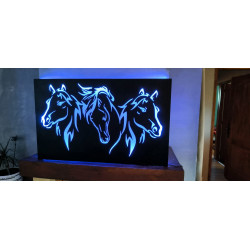 Cadre cheval éclairée